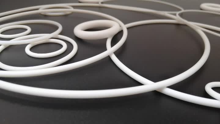 PTFE-O-Ring (1)