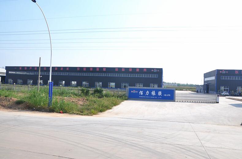 HENGSHUI BAILI HOSE CO.,LTD