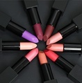 Hot Selling High Pigment Matte Lipstick with Free Samples in Cosmetics Tubes: OEM & ODM Options Available1