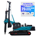 Factory Spot DSLQ Rotary Drilling Rig 20m Depth Hydraulic Crawler Pile Driver LQR-1001