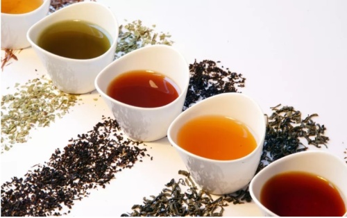 El té de otoño está recientemente lanzado, la solución de 360 ​​° para exportación y ventas nacionales está lista