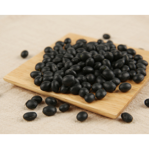 Black bean weight loss