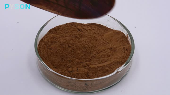 Reishi Mushroom Extract30%