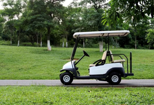 Golf cart battery