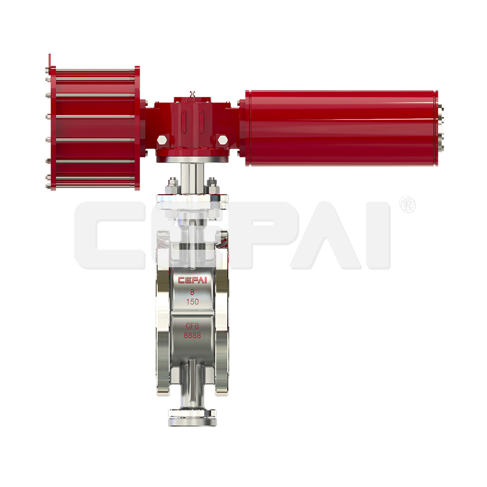 Pneumatic Single Seat Control Valve