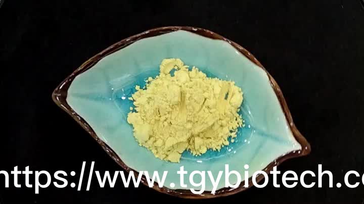 quercetin powder