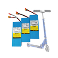 Customizable Mini Rechargeable 12V/60V LiFePO4 Batteries for Electric Scooters - 20Ah & 12Ah Capacities1