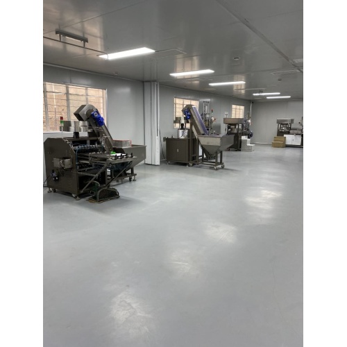NINGBO BEILUN BOGUAN PLASTİK AMBALAJ MALZEMESİ CO., LTD. Küresel Su Paketleme Pazarı için Plastik Şişe Kapağı Ürün Hatlarını Optimize Ediyor