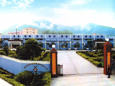 Shenzhen Lingmin Technology Co., Ltd.