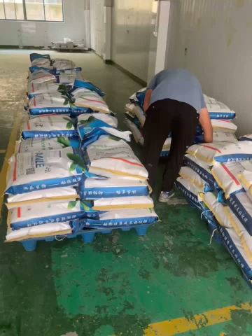 Global Logistics and Cargo Loading Operations