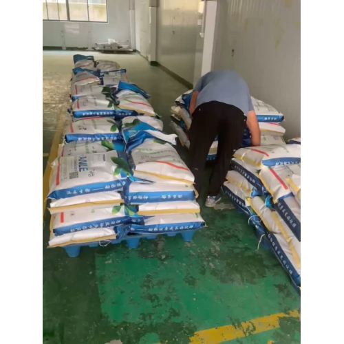 Operaciones globales de logística y carga de carga