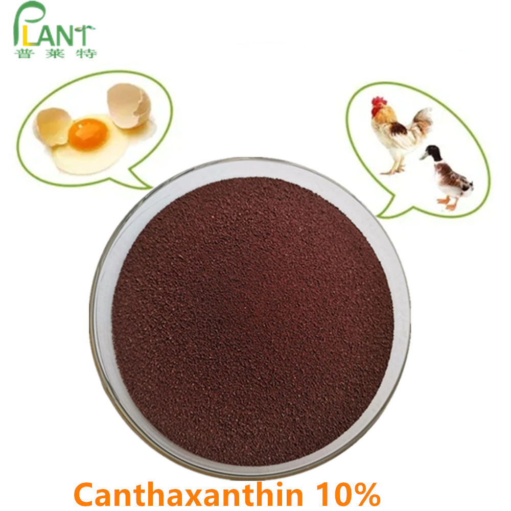 Polvo de cantaxantina 10%