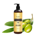 Wholesale Private Label Organic Smoothing Argan Oil Shampoo OEM ODM1