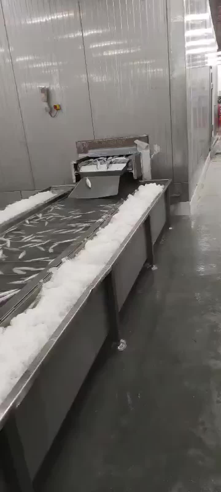 fish freezing and glazing