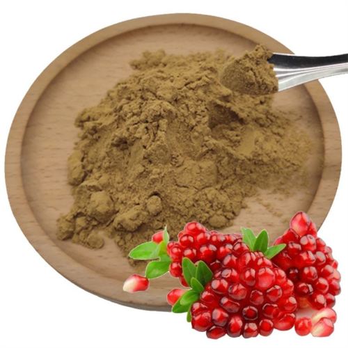 Can one eat pomegranate seed extract powder? what are the benefits?