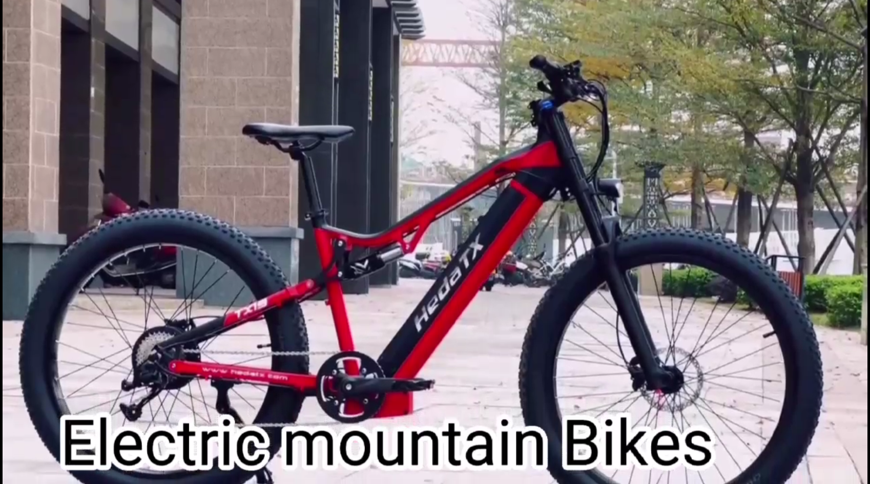 Electric Mountain Bike TX19 ~ 1