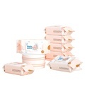 Eco-Friendly Flushable Paper Towels and Baby Wipes1