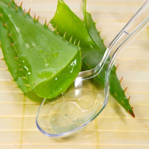 Introdução detalhada do extrato de aloe vera - efeitos de beleza e antienvelhecimento