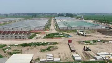 Fuyang1 video