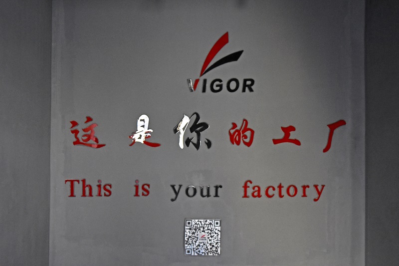 Vigor Plus Co., Ltd