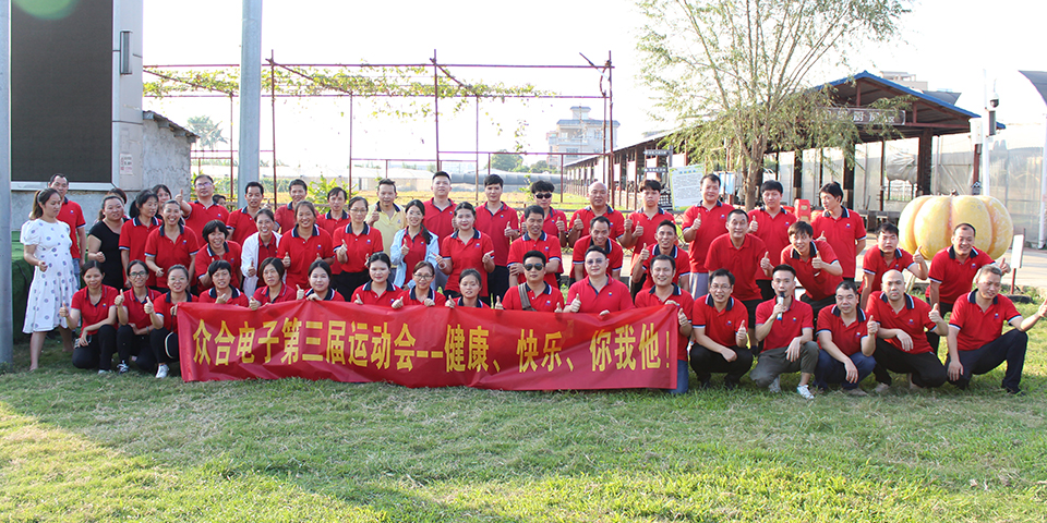 Dongguan Zhonghe Electronics Co., Ltd.