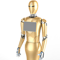 Hotel Greeting Service Robot for Mall Centers1