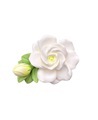 Gardenia Diffuser Stone Aromatherapy Car Perfume1