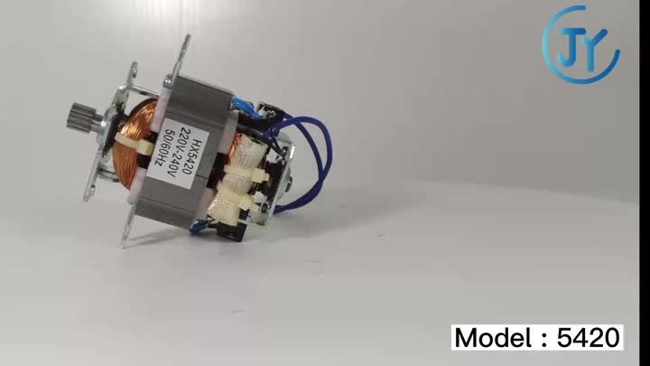 5420 Stabmixermotor