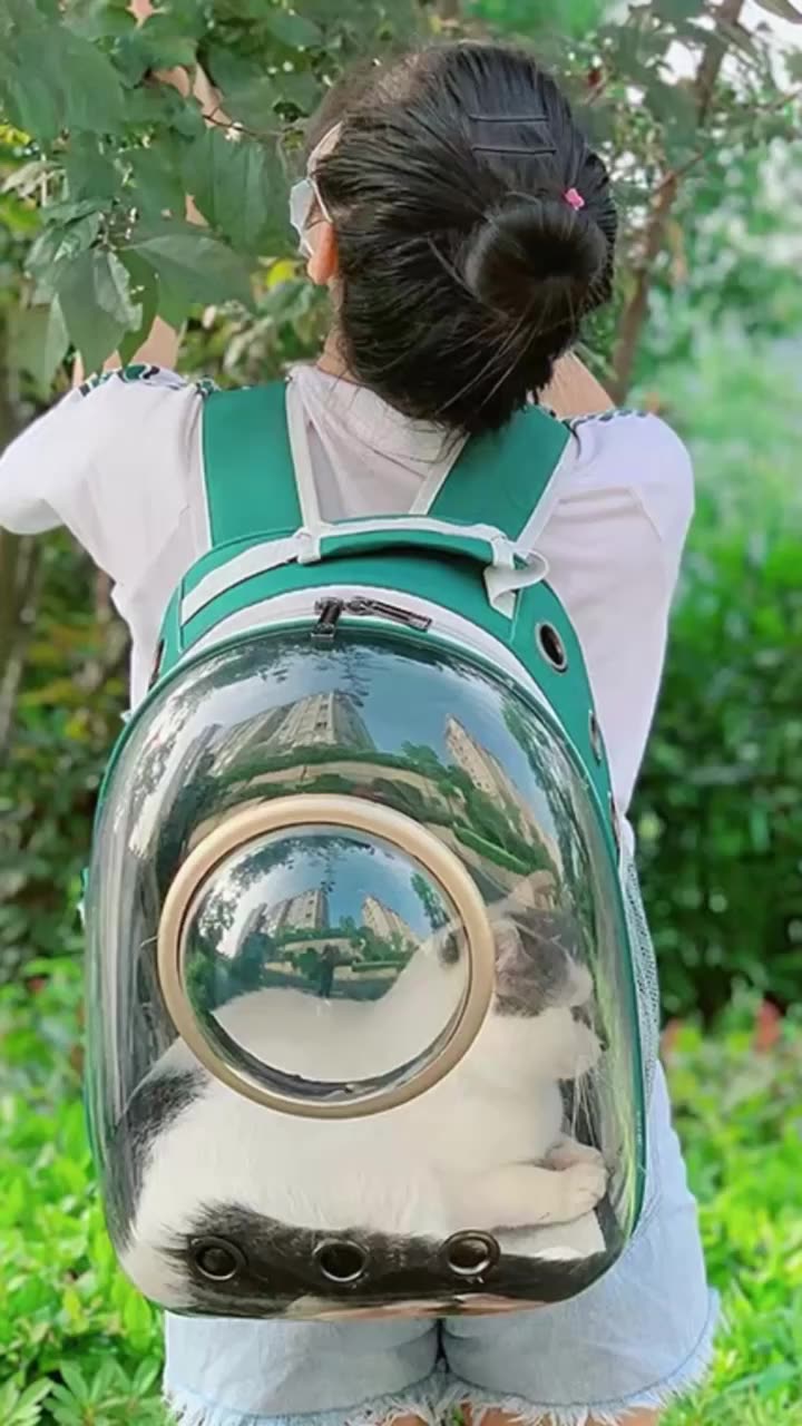 Outdoor Traveling Expandable Cat Backpack Carrier Bubble Bag Space Capsule Pet Carrier For Large Cat And Small Dogs1