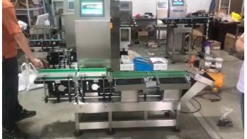 600g Electronic Dynamic Checkweigher