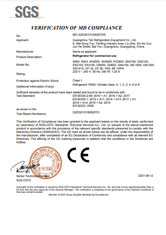 DSS_CE_GZES2101000207HS SS VERIFICATION OF MD COMPLIANCE