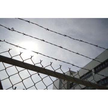 Top 10 China Barbed Wire Manufacturers