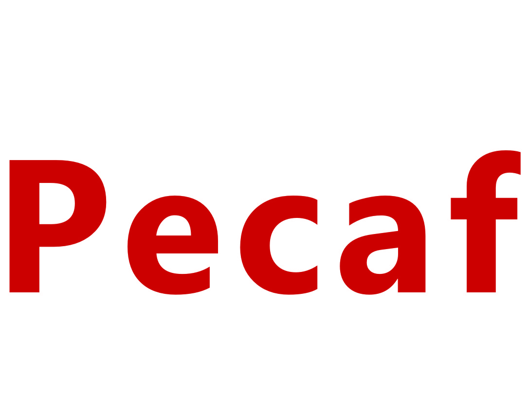 Ningbo Pecaf Electronic Technology Co., Ltd.
