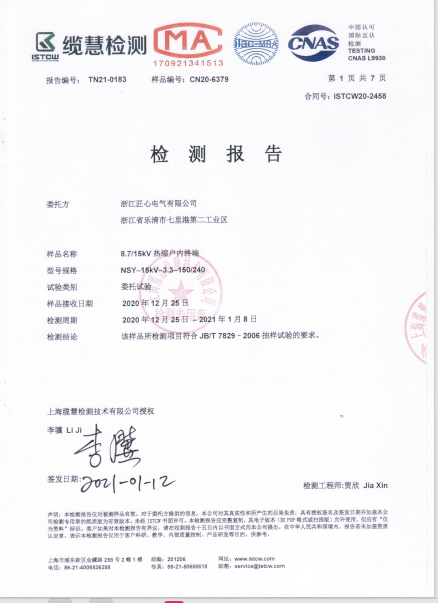 Inspection Report