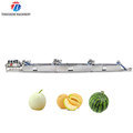 Pineapple and Fruit Bubble Cleaning and Air Drying Production Line1