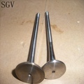 Engine Valves for Toyota 2L, 3L, 5L, 1KZ, 1KD, 2KD, 1HZ, 14B, 22R1