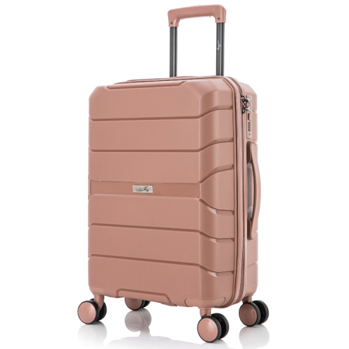 PP luggage