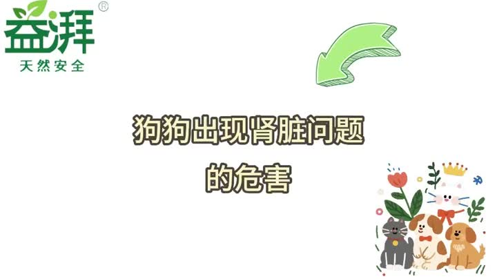 Riesgos de enfermedad renal en perros