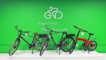 Affordable 36V 250W Rear Wheel Electric Bike with Lithium Battery1