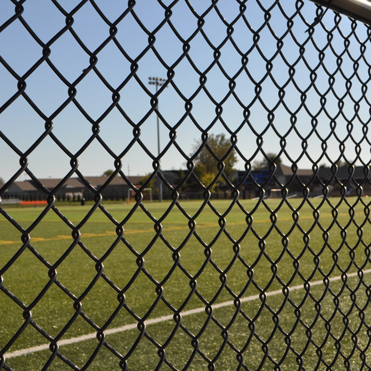 chain link fence 