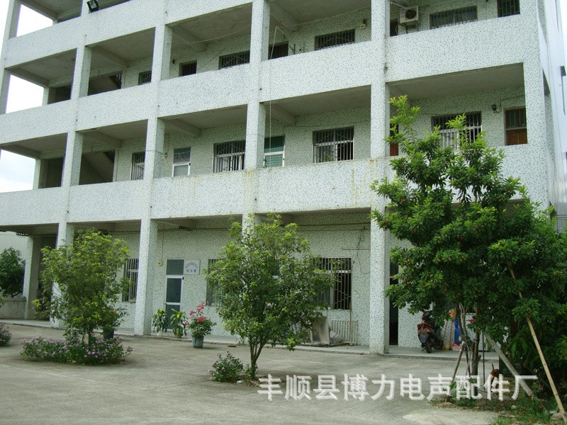 Fengshun County Boli Electroacoustic Co., Ltd.