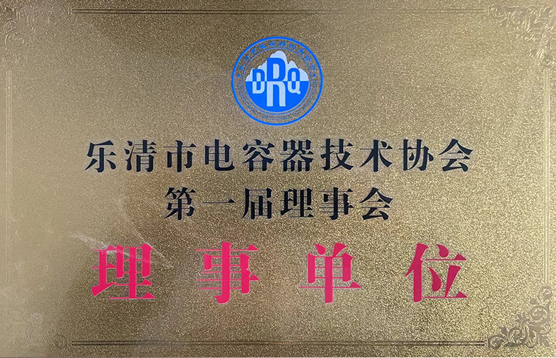 The First Council of the Yicheng Capacitor Technology Association Member Units