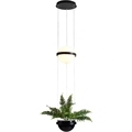 Hanging Glass Ball Plant Pendant Lamp for Cafe Restaurant Interior Decoration1