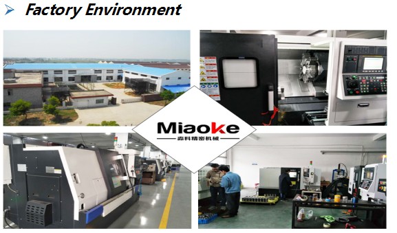 Shanghai Miaoke Precision Machinery Co.,Ltd
