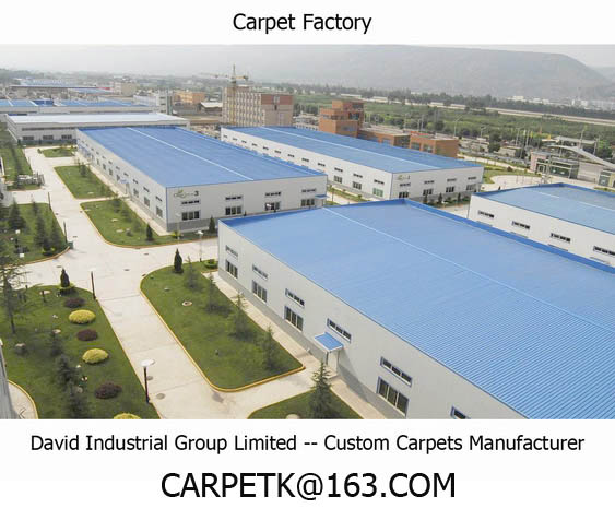 David Industrial Group Limited ( Custom Make Carpets & Rugs Manufacturer )
