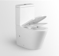 European Rimless Wall-Mounted Toilet with Round Ceramic and P Trap1