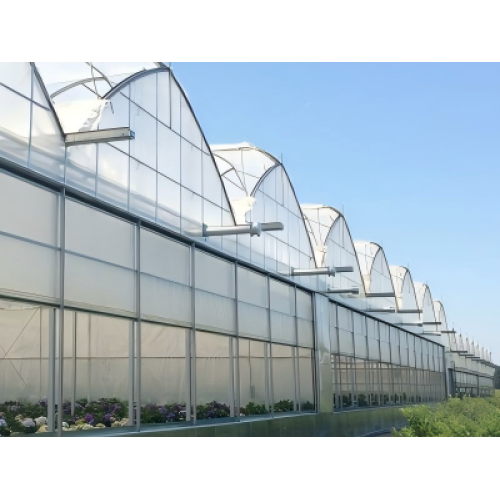 Breaking the Deadlock in Greenhouse Agriculture: Reshaping Profitability Models through Technology Empowerment and Scientific Planning