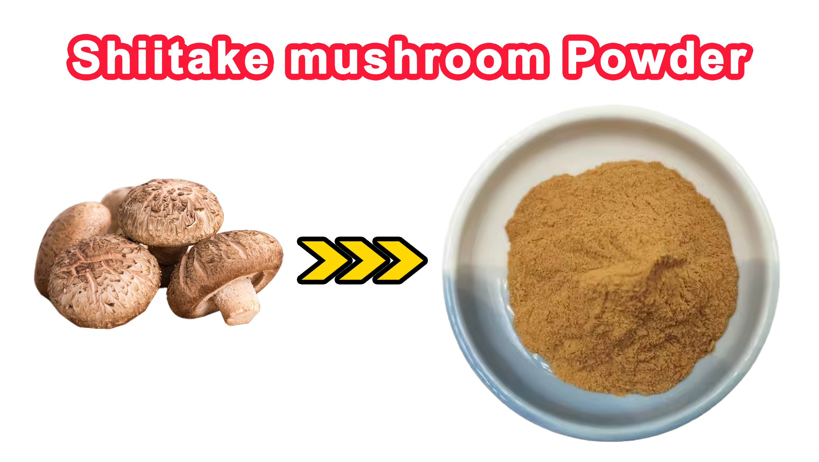 Shiitake 버섯 추출물