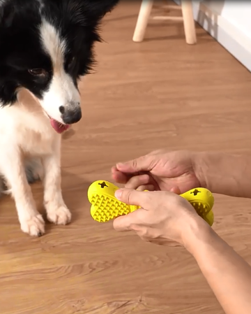 TREAT BONE TOY