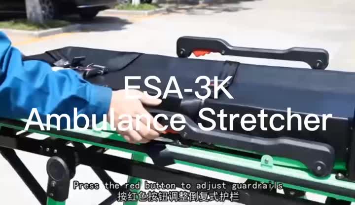 ESA-3K